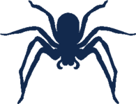 Donkerblauwe spinillustratie